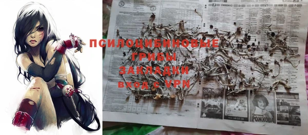 дурь Рославль