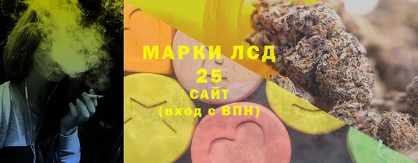 ПСИЛОЦИБИНОВЫЕ ГРИБЫ Алексин