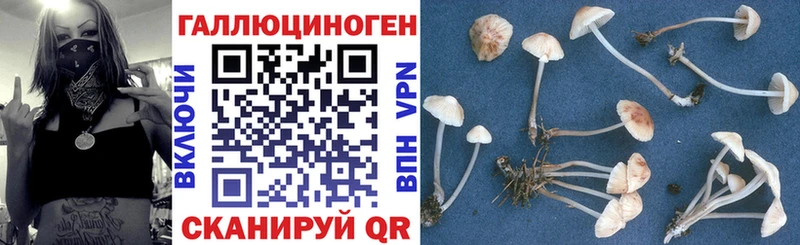 цены наркотик  omg ссылки  это как зайти  Зуевка  Галлюциногенные грибы GOLDEN TEACHER 